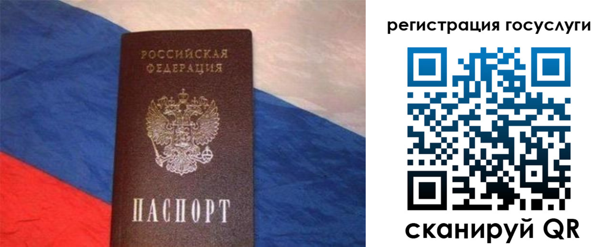 временная регистрация гарантия в Коле