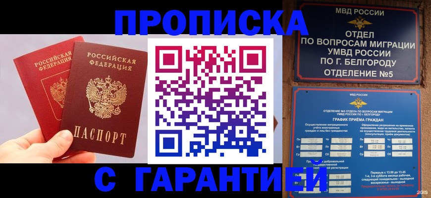 прописка 2025 в Коле